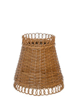 Varnish Garden Shade