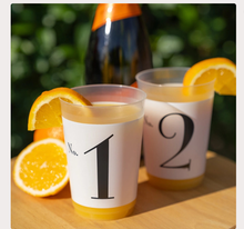 Reusable Plastic Cups